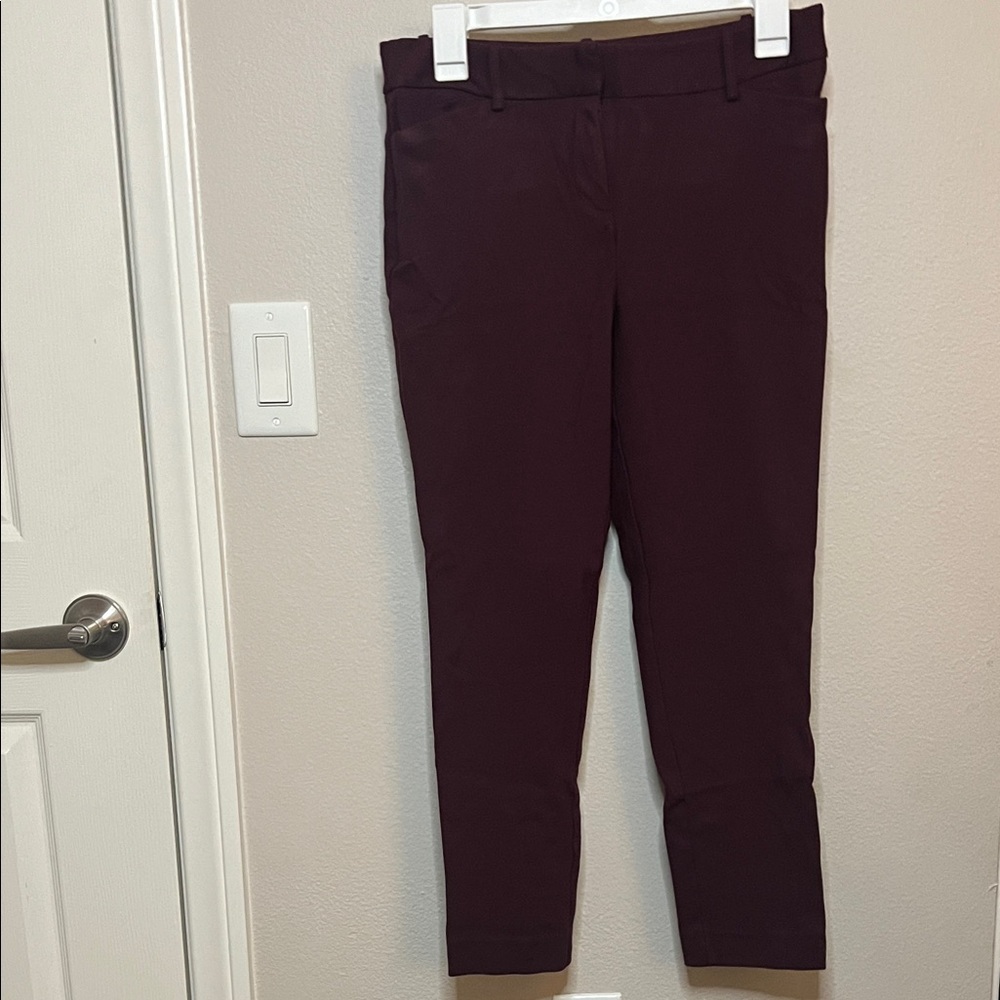 Liz Claiborne Deep Purple Trousers